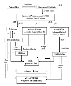 Esquema de la reacción de Maillard adaptado de Hodge [46]