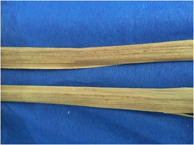 Fibra de banano tipo dura.