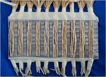 Molde con fibras
de banana colocadas.