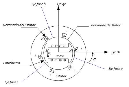 Modelo de generador
síncrono de rotor devanado utilizado en turbinas de viento [9].
