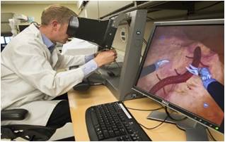  Realidad virtual en
la educación de la medicina.
