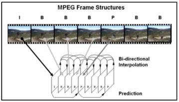 Estructura MPEG.