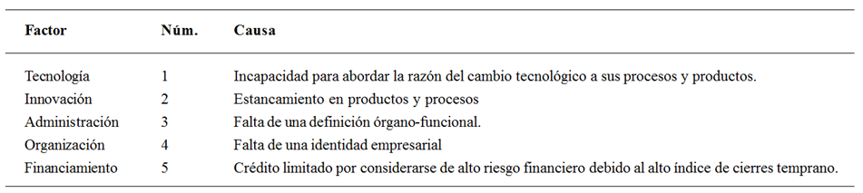 Factores y causas
más comunes en el fracaso de las PYMES en México, en orden de importancia
descendente.