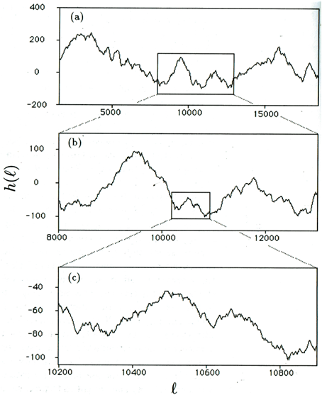 Función rescalada autoafín [3].