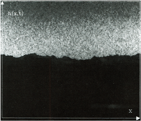Un segmento de papel de 8cm en el que se propaga el fuego de abajo hacia arriba
[7].