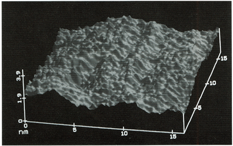Imagen de un substrato rugoso de plata [7].