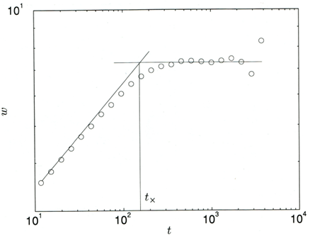 Crecimiento de la
interfaz con el tiempo para un sistema de tamaño L. Hay dos régimenes característicos: (i) crecimiento ley de potencia,
que aparece como una línea recta en la gráfica log-log, y (ii)
saturación [7].