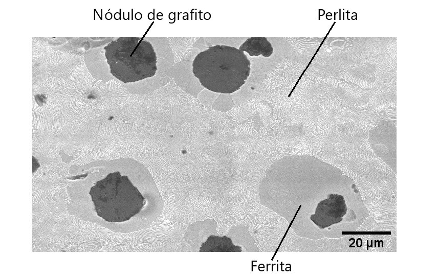 Microestructura del material en estado de entrega mediante SEM con electrones secundarios (SE).