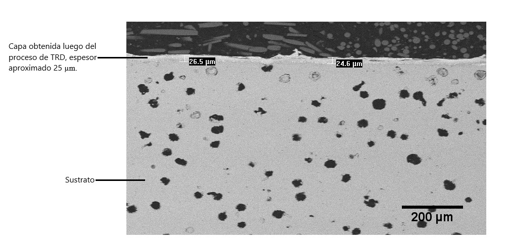 Imagen de microscopía electrónica de barrido de la capa obtenida mediante difusión termorreactiva, sobre una fundición nodular (SEM, electrones retrodispersados (BSE)). La capa es homogénea en espesor.