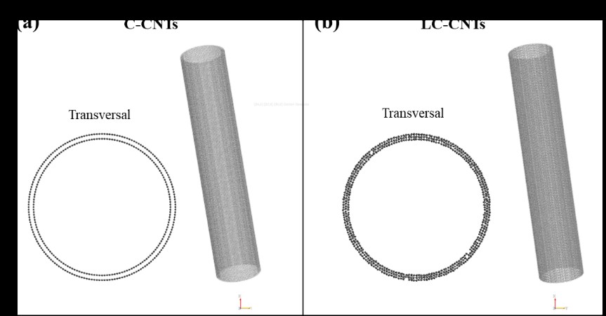 Estructuras de CNT considerada para el estudio dinmico molecular en la simulacin. (a) CNT cristalinos (C-CNT) y (b) CNT de baja cristalinidad (LC-CNT).