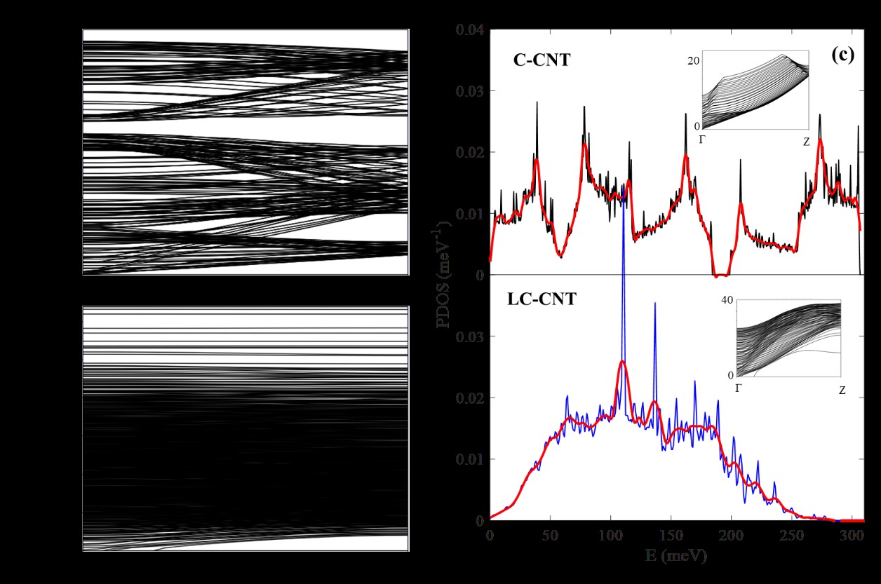 Estructura de bandas de los fonones de los (a) C-CNTy (b) LC-CNT. (c) Densidad de estados de los fonones de los CNT en estudio. Insertos muestran las primeras 100 bandas de la estructura de bandas de los fonones.