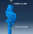ngulos entre el fmur y la tibia, as como la carga aplicada.