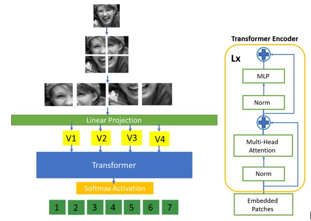 ViT model sequence. The illustration is inspired by ViT [20].