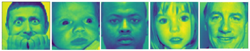 Input Images from FER-2013.