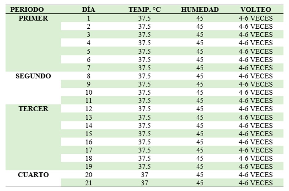 Monitoreo de la muestra de 30 huevos en la incubadora.