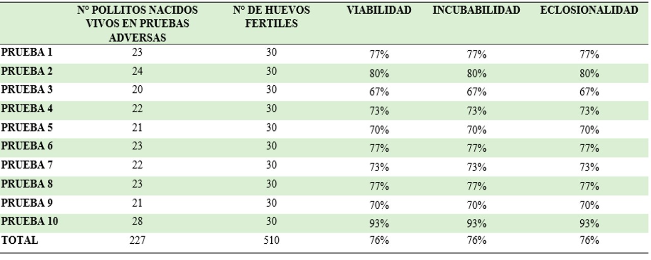 Pruebas realizadas en condiciones adversas.