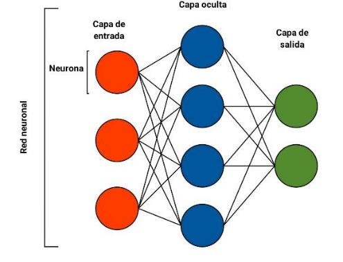 Esquema general representativa de una red neuronal donde los c�rculos representan las neuronas y las l�neas conexiones entre neuronas.