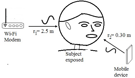 Subject exposed to electromagnetic waves from two sources