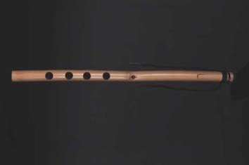 Ca&ntilde;a de millo. Fotograf&iacute;a de Jos&eacute; Gonz&aacute;lez. Envigado. 2018. Archivo fotogr&aacute;fico de La Escuela Superior Tecnol&oacute;gica de Artes D&eacute;bora Arango. Envigado, Antioquia.