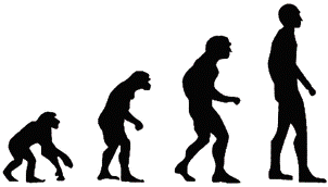 Representaci&oacute;n t&iacute;pica de la evoluci&oacute;n humana.