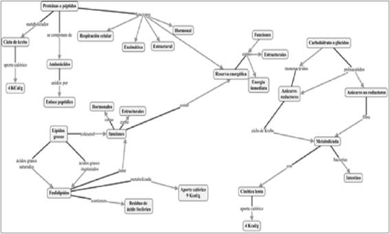 Red de c&oacute;digos informe de laboratorio.