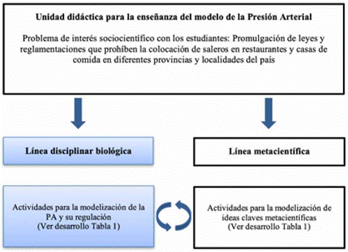 Plano general de la &Uuml;D. En sombreado se indican los aspectos desarrollados en este art&iacute;culo.