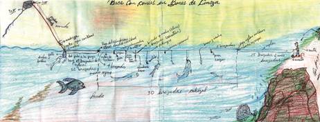 Tercera versión del aparejo de pesca, hecha por los investigadores.