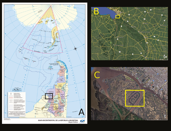 Mapas del &aacute;rea en conflicto, orientaci&oacute;n sur apuntando hacia arriba. A) Argentina. B) Delta del Paran&aacute;. C) Arroyo Anguilas, Partido de Tigre, Buenos Aires.