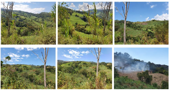 Recopilaci&oacute;n fotogr&aacute;fica de las veredas y lugares objeto de estudio
