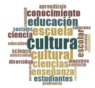 Categor&iacute;a Actitudes N-Vivo10&reg;