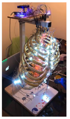 Simulador de impulsos nerviosos, realizado por Julián Guevara (2020, estudiante del programa académico de Medicina y Cirugía- Universidad del Valle