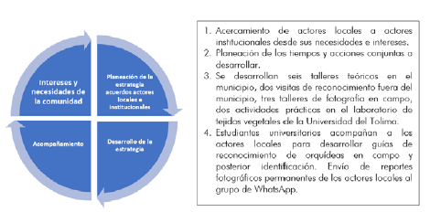 Metodolog&iacute;a, proceso desarrollado para conservaci&oacute;n participativa de orqu&iacute;deas en zonas de posconflicto