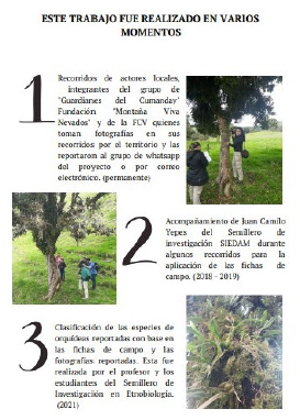 Metodolog&iacute;a identificaci&oacute;n de especies