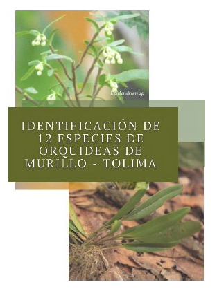 Contenido especies clasificadas