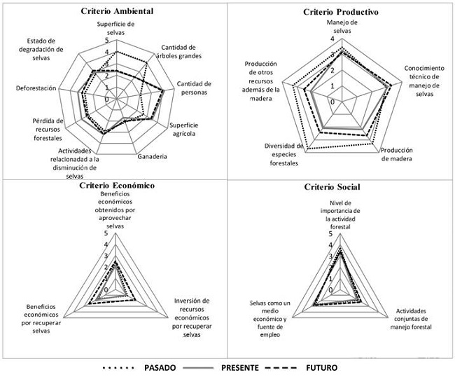 Representaci&oacute;n de las percepciones del criterio ambiental, productivo, econ&oacute;mico y social del pasado, presente y futuro en la comunidad Tocoy.