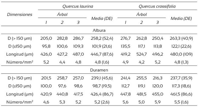 Dimensiones de los vasos de la madera de Quercus laurina y Q. crassifolia.