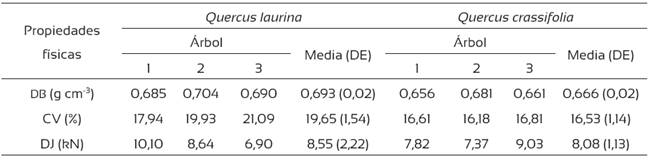 Propiedades f&iacute;sicas de la madera de Quercus laurina y Q. crassifolia.