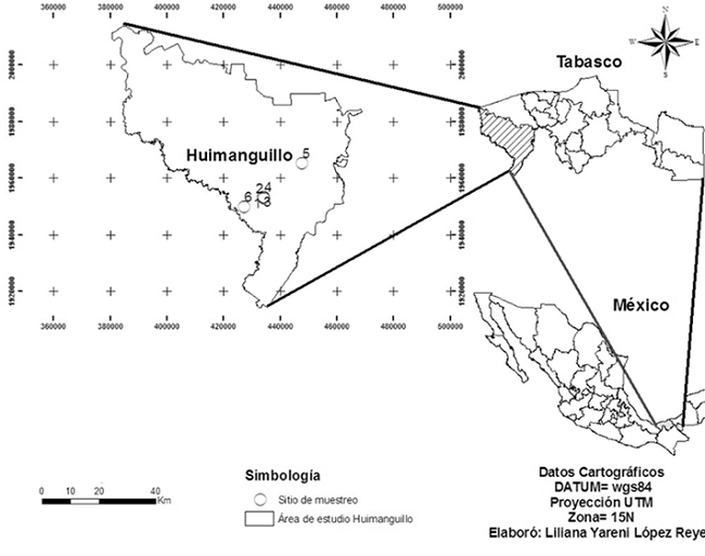Ubicaci&oacute;n geogr&aacute;fica de las plantaciones de H. brasiliensis en Huimanguillo, Tabasco, M&eacute;xico.