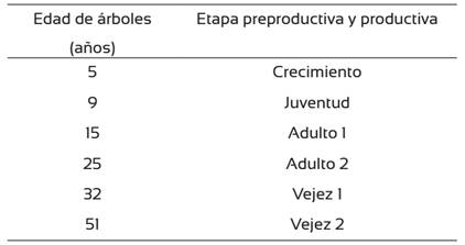 Edad de los &aacute;rboles de H. brasiliensis de acuerdo con la etapa de preproductiva y productiva.