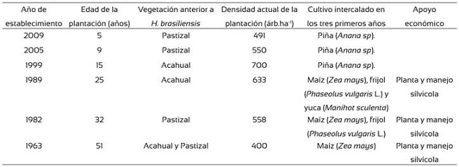 Antecedentes, asociaci&oacute;n de cultivos en callejones y densidad actual de las plantaciones de H. brasiliensis en Tabasco.