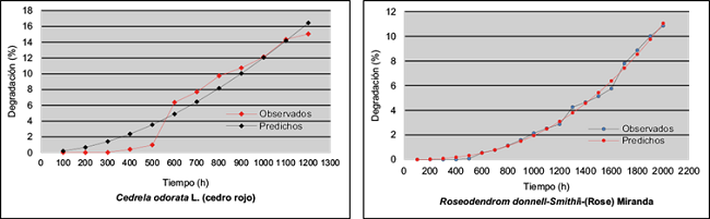 Comportamiento de la degradación del barniz Hydroform® en ambas especies.