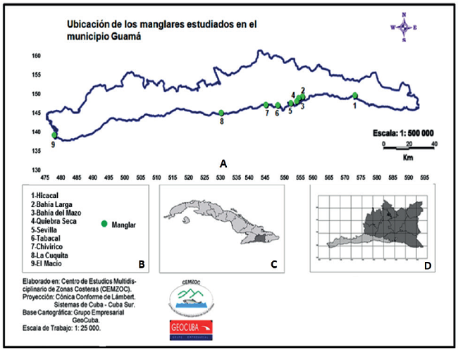A: Ubicaci&oacute;n geogr&aacute;fica de los manglares estudiados en el municipio Guam&aacute;. B: toponimia de los sitios en donde se ubica cada manglar se&ntilde;alado; C: ubicaci&oacute;n de la Provincia de Santiago de Cuba, D: ubicaci&oacute;n del municipio de Guam&aacute; (en gris claro) dentro de la provincia de Santiago de Cuba.