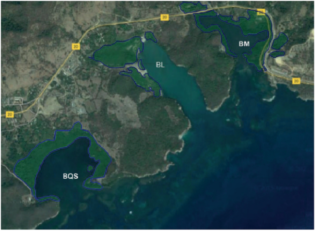 Sitio de estudio BM-Bah&iacute;a del Mazo, BL- Bah&iacute;a Larga y BQS-Bah&iacute;a de Quiebra Seca con tensor clave (carretera).