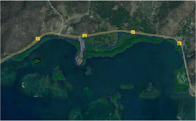 Sitio de estudio Tabacal con tensor clave (carretera). Imagen tomada del Google Earth y modificada por las autoras.