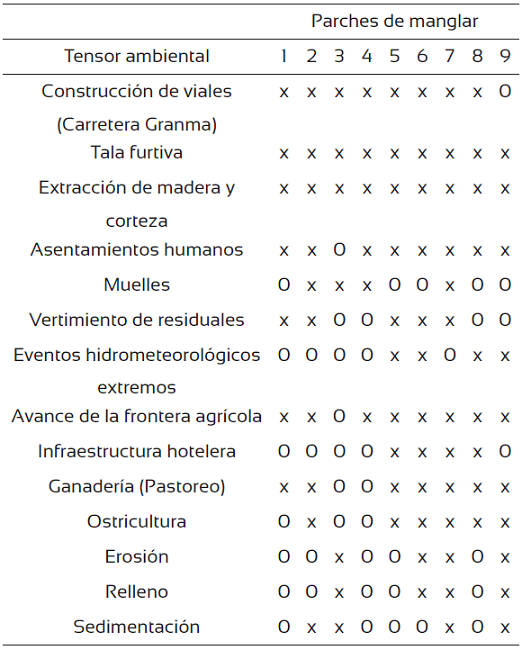 Tensores ambientales identificados en cada manglar estudiado.
