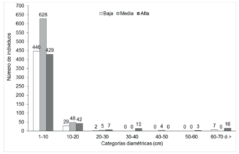 Distribuci&oacute;n diam&eacute;trica de vegetaci&oacute;n ribere&ntilde;a en tres zonas de un afluente del r&iacute;o Tacotalpa.