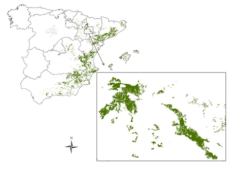 Map showing the study area.