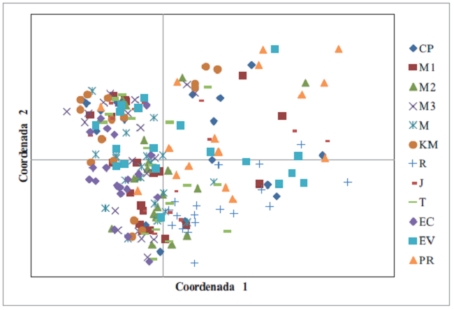 Análisis de coordenadas principales utilizando las distancias genéticas de los individuos de Quercus crassifolia.