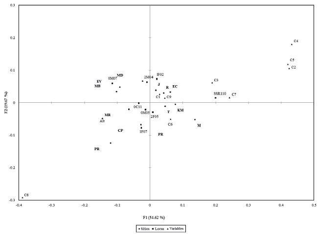 Análisis de correspondencia canónica para Quercus crassifolia en la Sierra Juárez y su asociación con variables ambientales sobre la presencia/ausencia de alelos por sitios.
