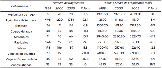 Comparaci&oacute;n temporal del n&uacute;mero de fragmentos de los tipos de uso de suelo y vegetaci&oacute;n y del tama&ntilde;o medio de los fragmentos.